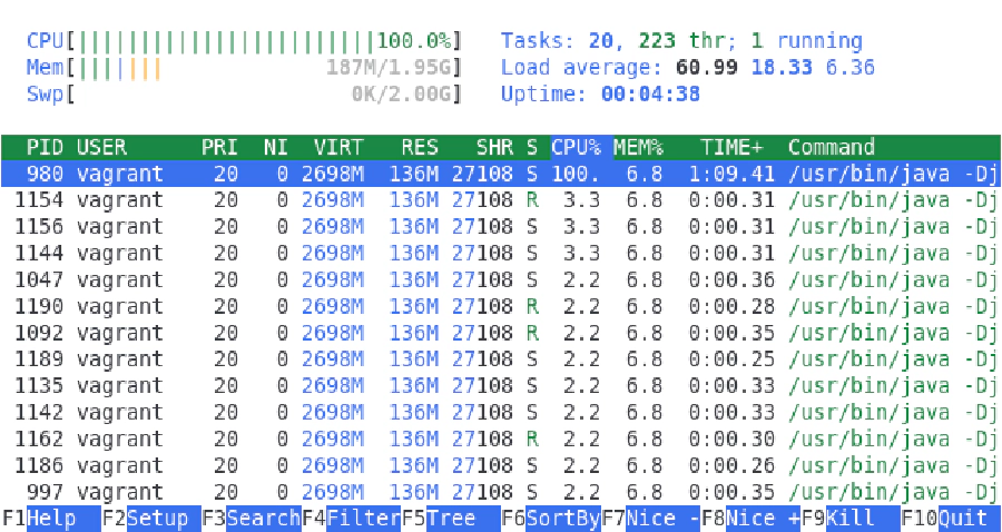 htop run on server during exploitation